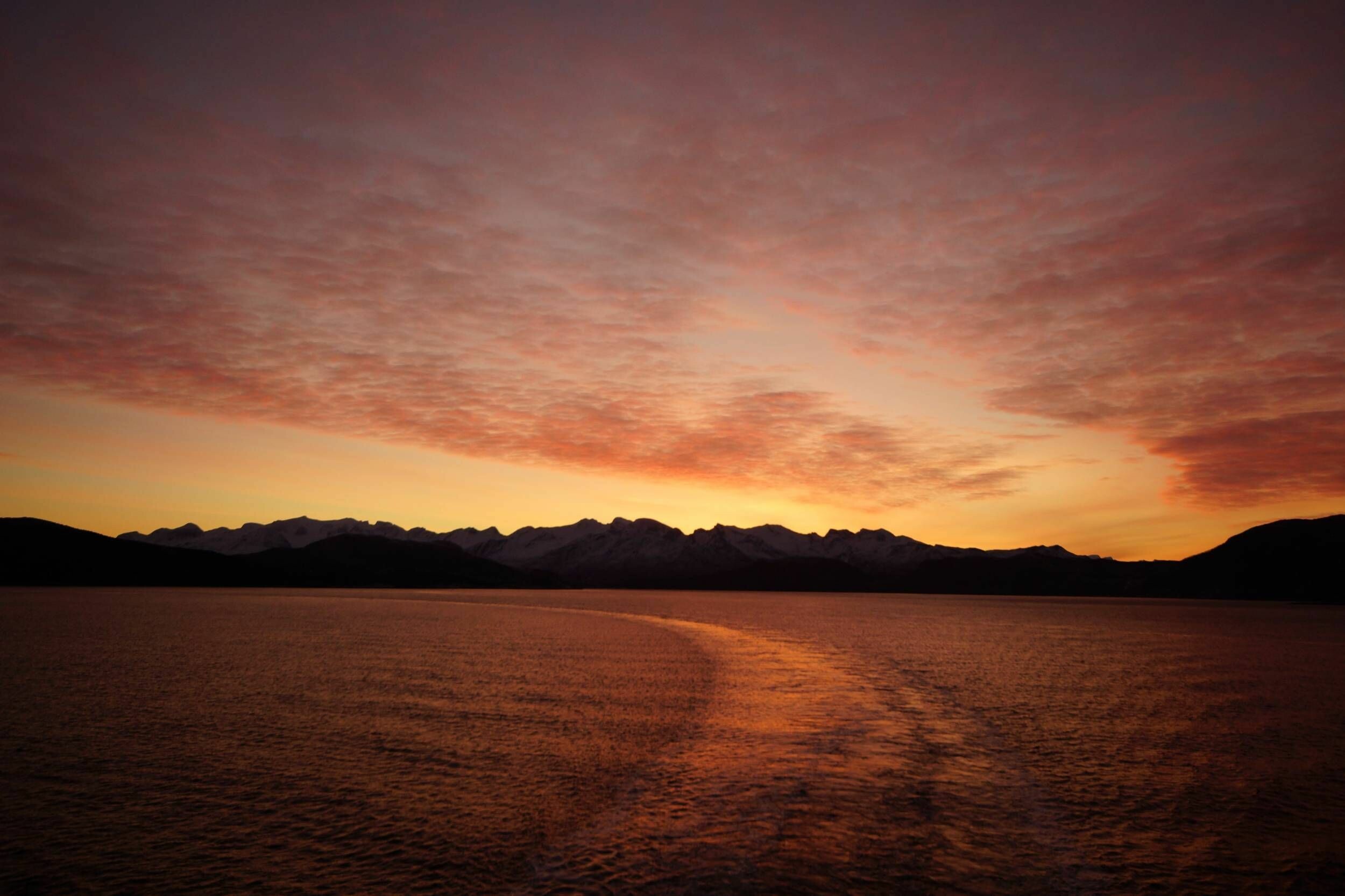 Hurigruten_65_