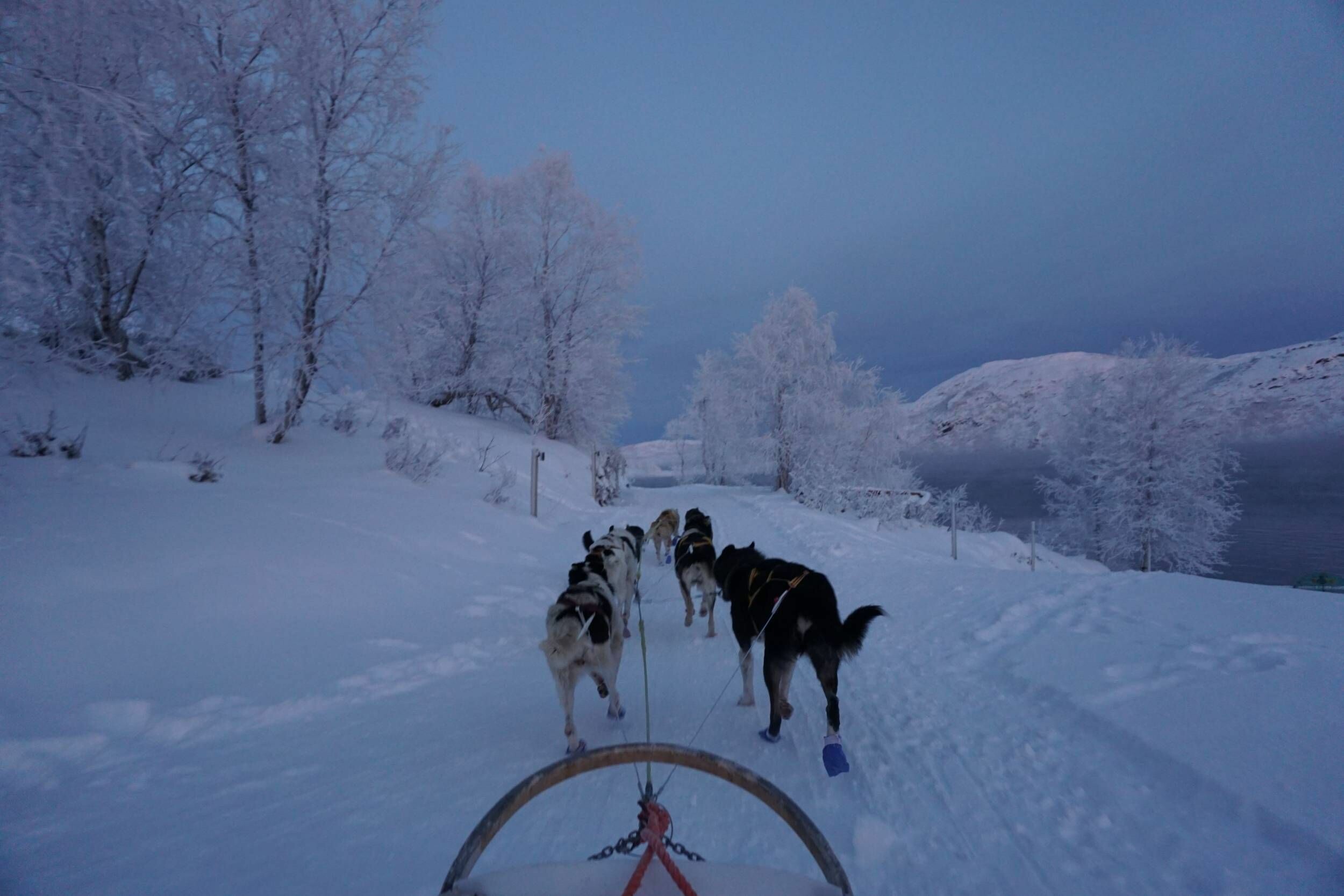 Hurigruten_244_