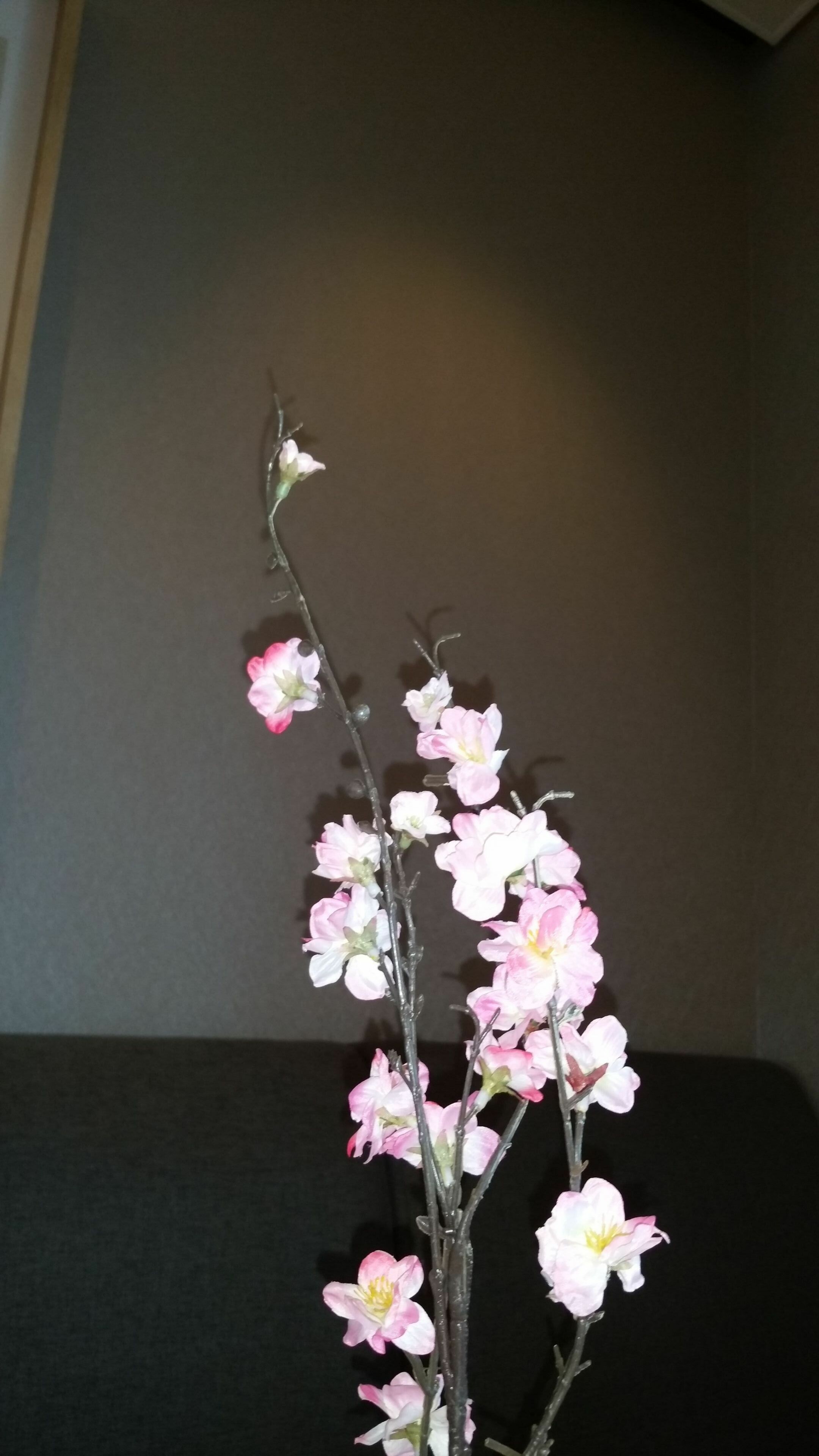 20150519_104501_1_